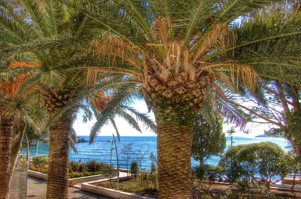 Vasiliki Seaside Apartments Petrovazzo Esterno foto